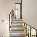 Stella *